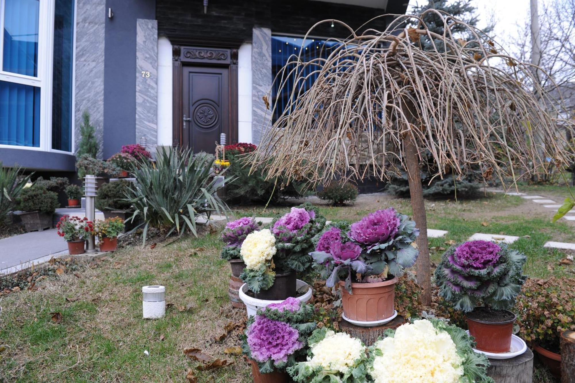 Garni Hotel Lama Kragujevac Exteriér fotografie